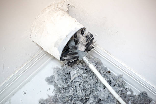 Air Duct Mold Removal in Colmar Manor, MD