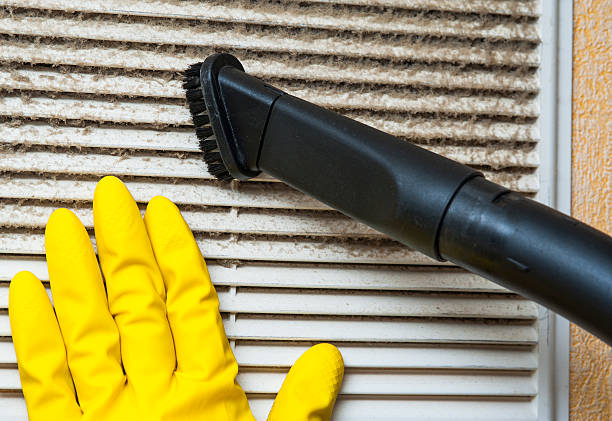 Best Affordable Duct Cleaning Services  in Colmar Manor, MD